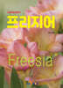 [대여] (농입기술길잡이) 프리지어