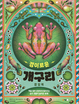 경이로운 개구리 팝업북