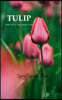 TULIP Stand tall in every phase of life