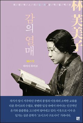감의 열매