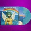 [미개봉 LP] Sufjan Stevens & Angelo De Augustine - A Beginner's Mind (오션블루 컬러 Ocean Blue / 한정반) (US 수입)