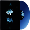 Wasia Project - Nocturne (US Indie Exclusive)(Ltd)(Colored LP)