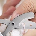 PH 듀얼 홀 펫 클리퍼 강아지 고양이 발톱깎이
