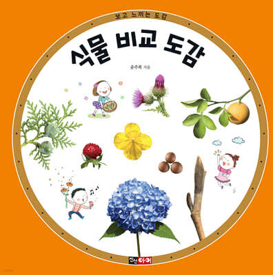식물 비교 도감