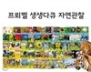 [프뢰벨] 생생다큐자연관찰 (교재 50권, DVD8장, 오디오 CD2장, 부모지침서1권) - ★2015 최신판 정품도서★