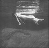 Bill Evans & Jim Hall (빌 에반스, 짐 홀) - Undercurrent [180g LP]