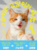 고양이는 고양이가 알려 드림