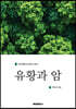 유황과 암