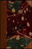 Middlemarch, Volume IV