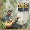 Muddy Waters (머디 워터스) - Muddy, Brass And The Blues [LP]