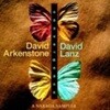 David Arkenstone, David Lanz / Convergence
