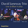 David Janeway Trio (데이비드 제인웨이 트리오) - Live At Blue Llama