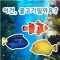 생선필통 흰동가리 블루탱 옐로탱