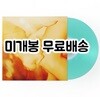 버둥 - 1집 지지않는 곳으로 가자 [투명 민트 컬러 LP]
