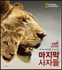 마지막 사자들