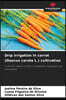 Drip irrigation in carrot (Daucus carota L.) cultivation
