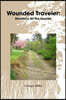 Wounded Traveler: Devotions for the Journey