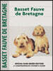 Basset Fauve de Bretagne (Comprehensive Owner's Guide)