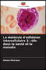 La molécule d'adhésion intercellulaire 1: rôle dans la santé et la maladie