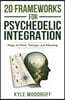 20 Frameworks For Psychedelic Integration: Maps of Mind, Therapy, and Meaning
