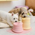 뭉연구소 핏 보울 강아지 고양이 급체 방지 높이조절 실리콘 식기
