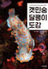 갯민숭달팽이 도감