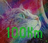 [그래제본소] 100km