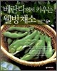 베란다에서 키우는 웰빙채소