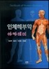 인체해부학 아카데미