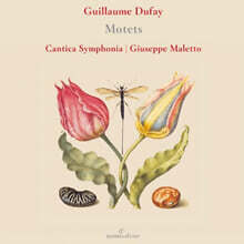 Giuseppe Maletto 기욤 뒤파이: 모테트 (Guillaume Dufay: Motetten)