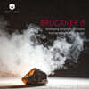 Karl-Heinz Steffens 브루크너: 교향곡 8번 C단조 (Bruckner: Symphony No.8)