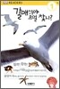 갈매기야 무얼 찾니?