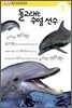 돌고래는 수영 선수