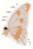 외롭고 슬프고 더럽게 소중한 꿈
