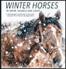 Winter Horses In Snow, Silence and Light: A photographic meditation on the quiet, resilient life of horses through winter.