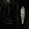 Wolves In The Throne Room - Estuary (Limited Edition)(Mediabook)(CD)