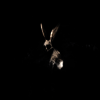 Ghostkid - Follow The White Rabbit (Digipack)(CD)
