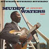 Muddy Waters (머디 워터스) - Muddy Waters At Newport 1960 [LP]