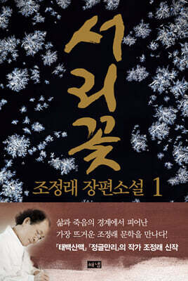 서리꽃 1