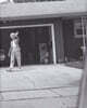 Leaving and waving