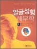 얼굴성형해부학