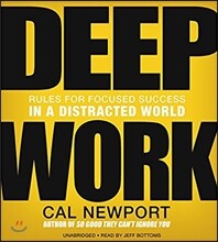 Deep Work: Rules for Focused Success in a Distracted World