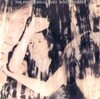 [일본반] The Psychedelic Furs - Book Of Days