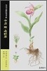 우리 꽃 세밀화