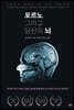 포르노, 그리고 당신의 뇌