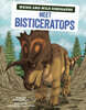 Meet Bisticeratops: A Graphic Guide