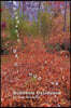 Suddenly Deciduous