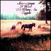 Bill Callahan - Sometimes I Wish We Were An Eagle (Vinyl LP)