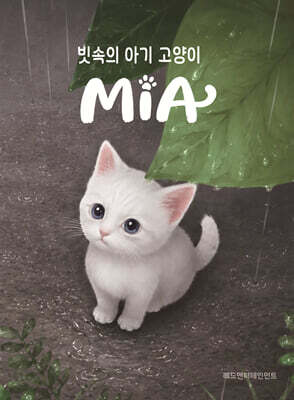 빗속의 아기 고양이 MiA
