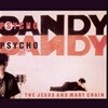 Jesus & Mary Chain - Psychocandy (CD)[1986년 WEA RECORDS EU발매반]